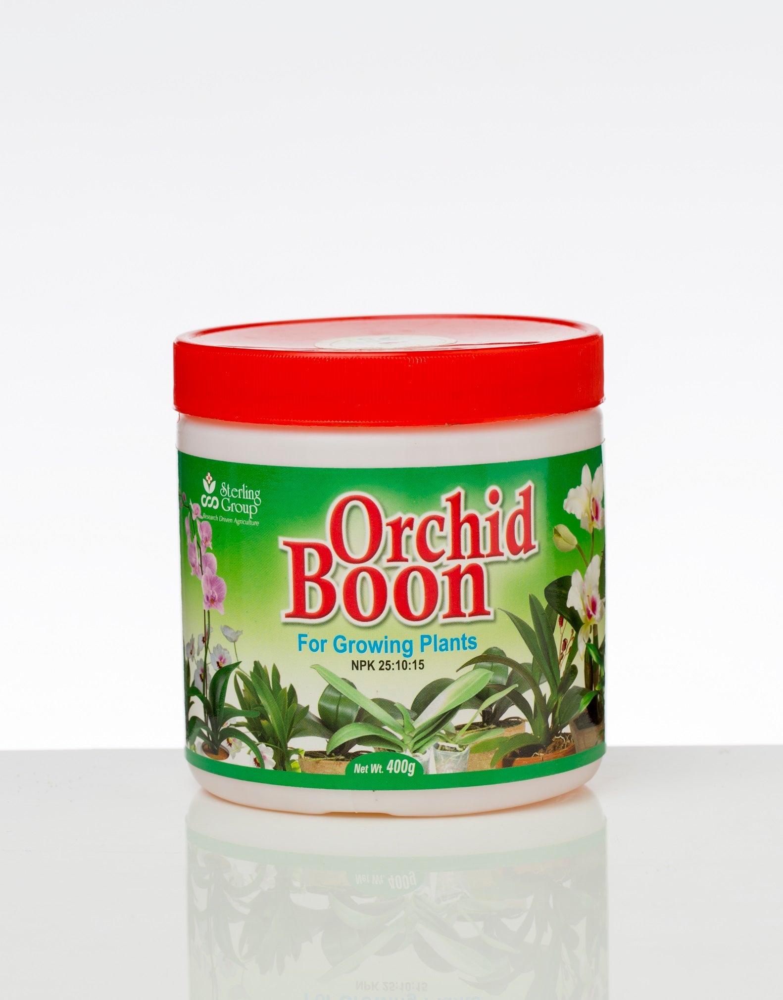 Orchid Boon (growing)