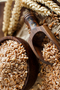 Wheat- 10 kg - Testing