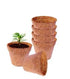 Coco Pots